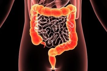 therapy for detoxification and colon health